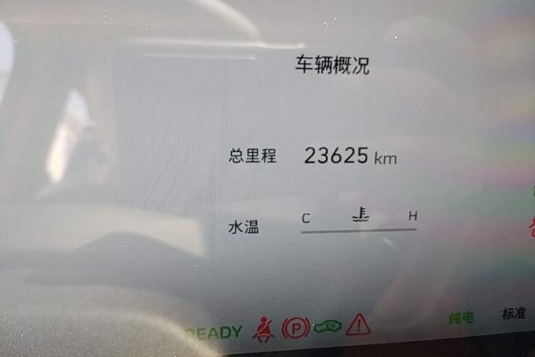 Used Wey Gaoshan 2023 Four-Wheel-Drive Executive Extended Version Odometer Close Up