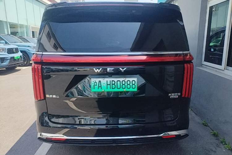 Used Wey Gaoshan 2023 Four-Wheel-Drive Executive Extended Version Rear