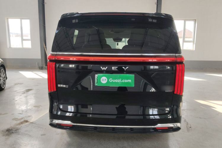 Used Wey Gaoshan 2023 Four-Wheel-Drive Executive Extended Version Rear