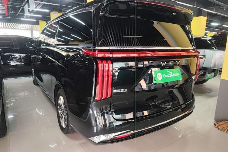 Used Wey Gaoshan 2023 Four-Wheel-Drive Executive Extended Version Rear Left 45 Deg