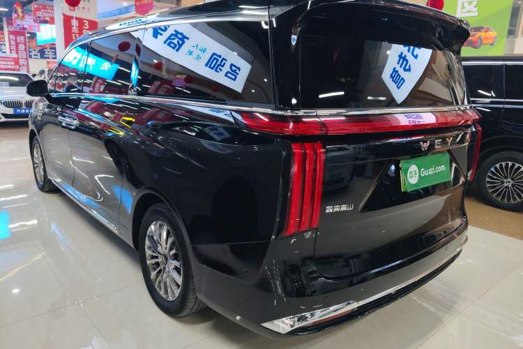 Used Wey Gaoshan 2023 Four-Wheel-Drive Executive Extended Version Rear Left 45 Deg