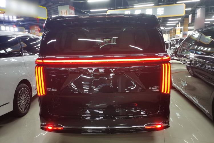 Used Wey Gaoshan 2023 Four-Wheel-Drive Executive Extended Version Rear