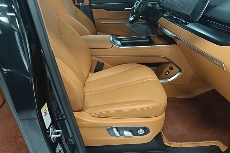 Used Wey Gaoshan 2023 Four-Wheel-Drive Executive Extended Version Right Front Seat