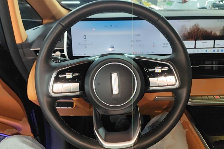 Used Wey Gaoshan 2023 Four-Wheel-Drive Executive Extended Version Steering Wheel