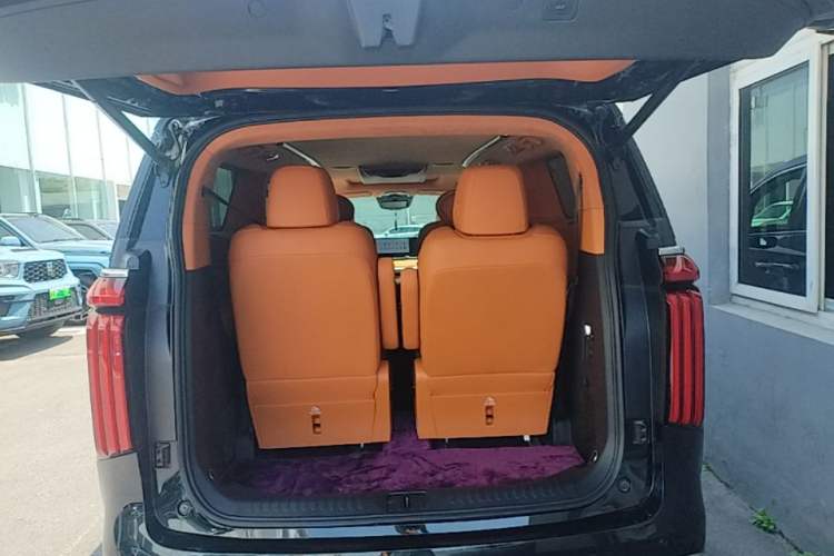 Used Wey Gaoshan 2023 Four-Wheel-Drive Executive Extended Version Trunk