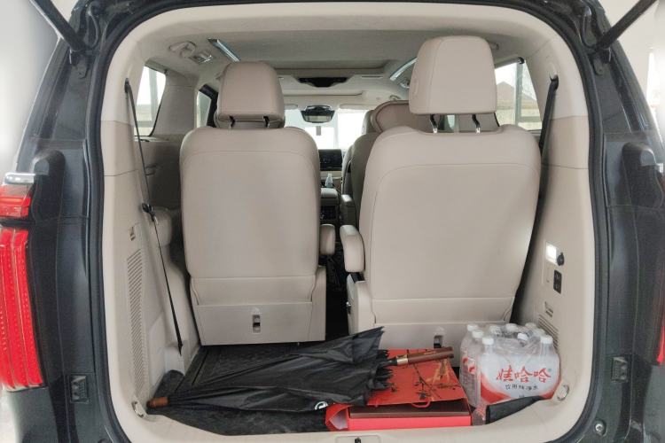 Used Wey Gaoshan 2023 Four-Wheel-Drive Executive Extended Version Trunk