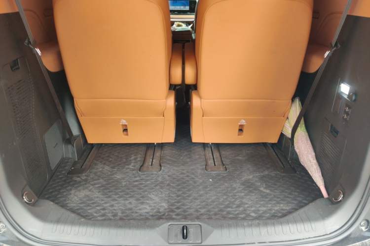 Used Wey Gaoshan 2023 Four-Wheel-Drive Executive Extended Version Trunk