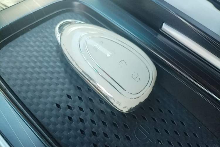 Used Wey Gaoshan 2023 Four-Wheel-Drive Executive Extended Version Vehicle Key