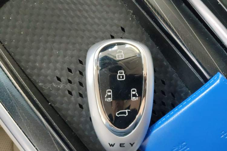 Used Wey Gaoshan 2023 Four-Wheel-Drive Executive Extended Version Vehicle Key