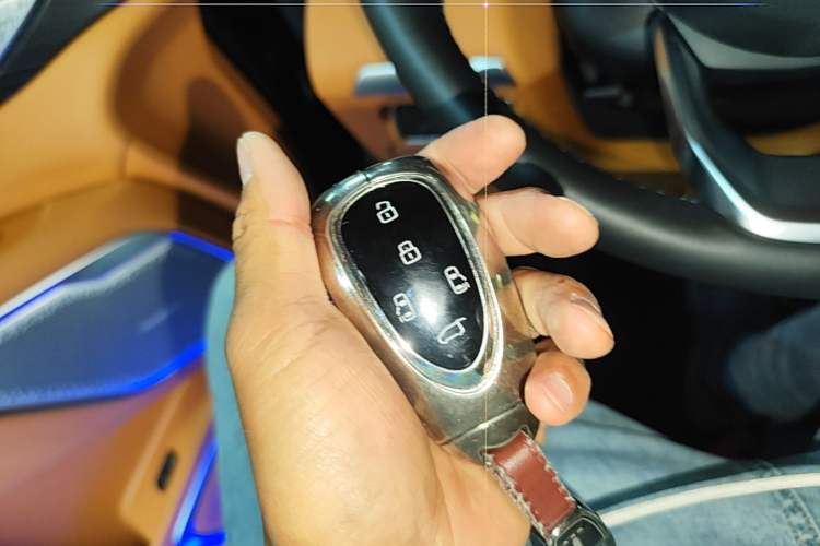Used Wey Gaoshan 2023 Four-Wheel-Drive Executive Extended Version Vehicle Key
