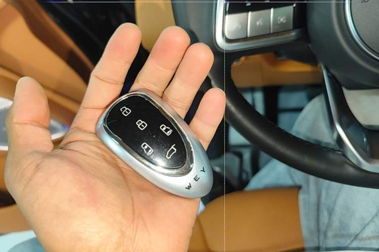 Used Wey Gaoshan 2023 Four-Wheel-Drive Executive Extended Version Vehicle Key