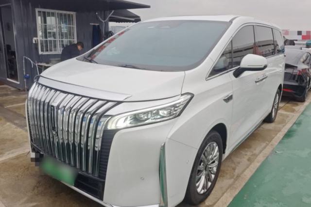 Used Wey Gaoshan 2023 Four-Wheel Drive Flagship Edition