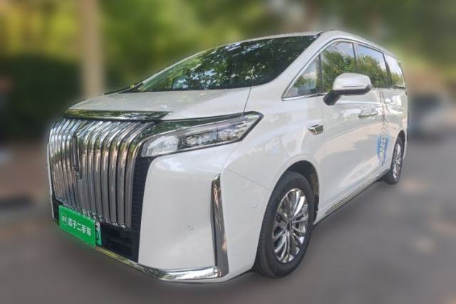 Used Wey Gaoshan 2023 Four-Wheel Drive Flagship Edition