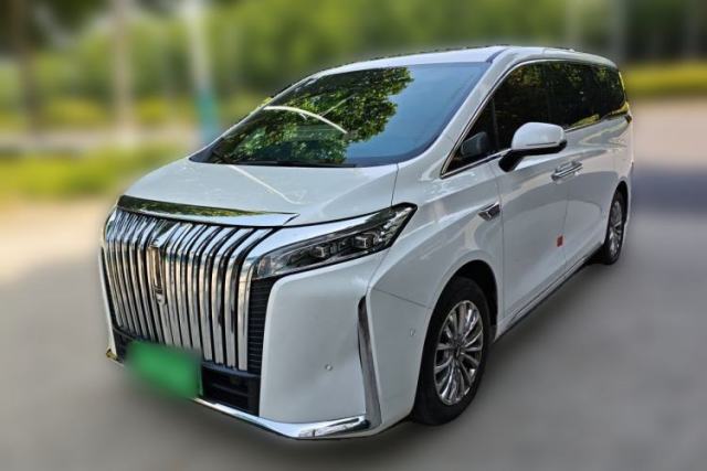 Used Wey Gaoshan 2023 Four-Wheel Drive Flagship Edition