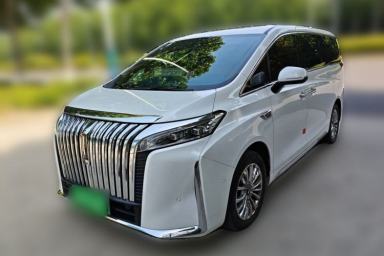 Used Wey Gaoshan 2023 Four-Wheel Drive Flagship Edition