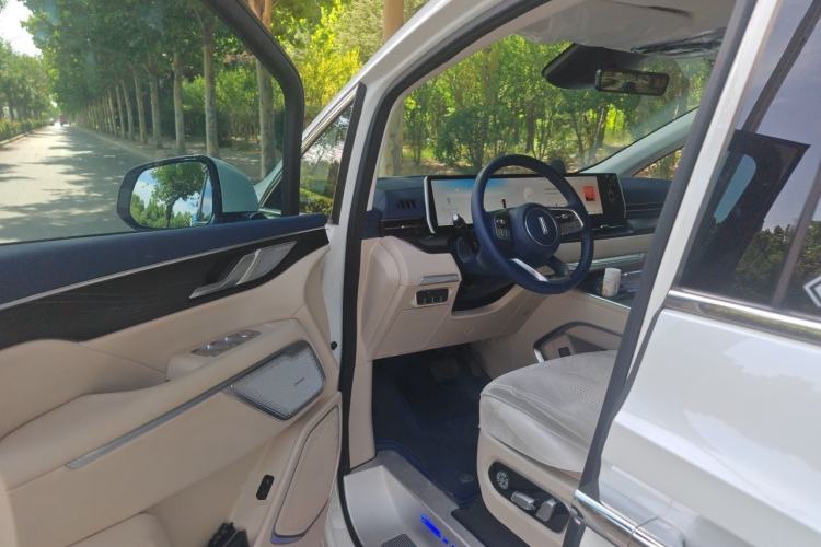 Used Wey Gaoshan 2023 Four-Wheel Drive Flagship Edition Driver Seat