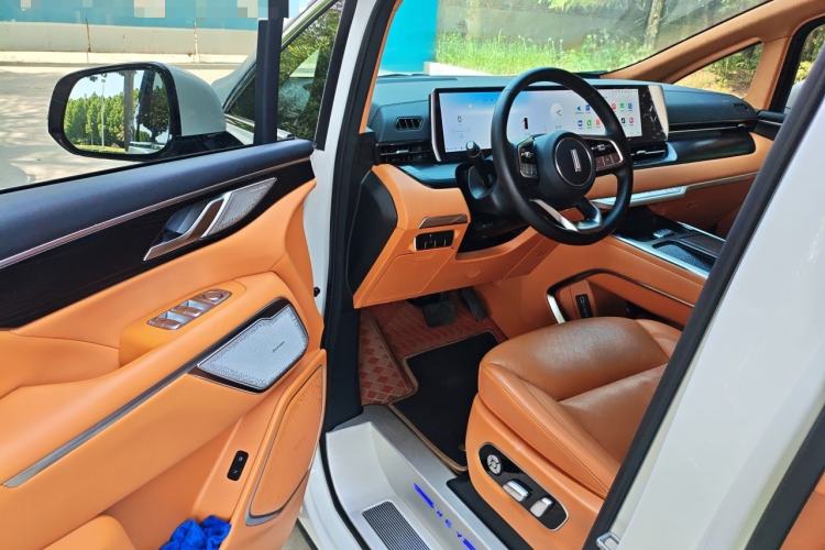 Used Wey Gaoshan 2023 Four-Wheel Drive Flagship Edition Driver Seat