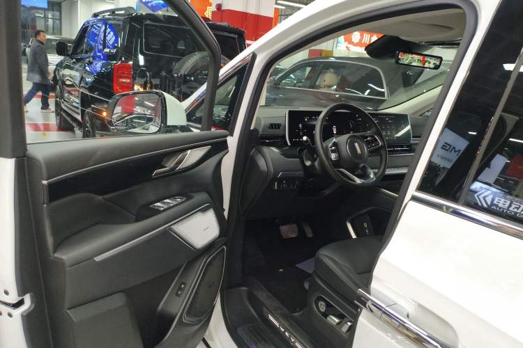 Used Wey Gaoshan 2023 Four-Wheel Drive Flagship Edition Driver Seat