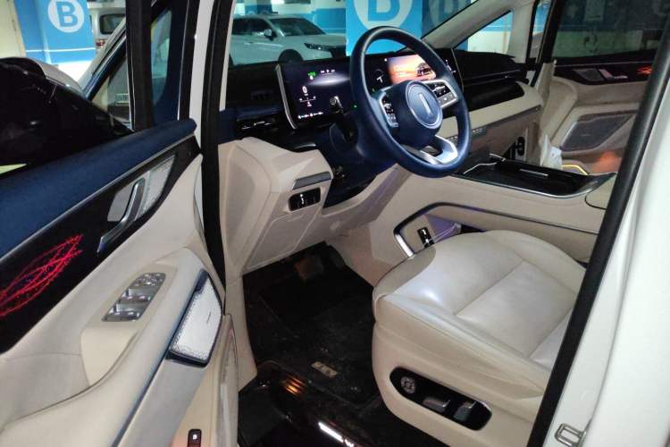 Used Wey Gaoshan 2023 Four-Wheel Drive Flagship Edition Driver Seat