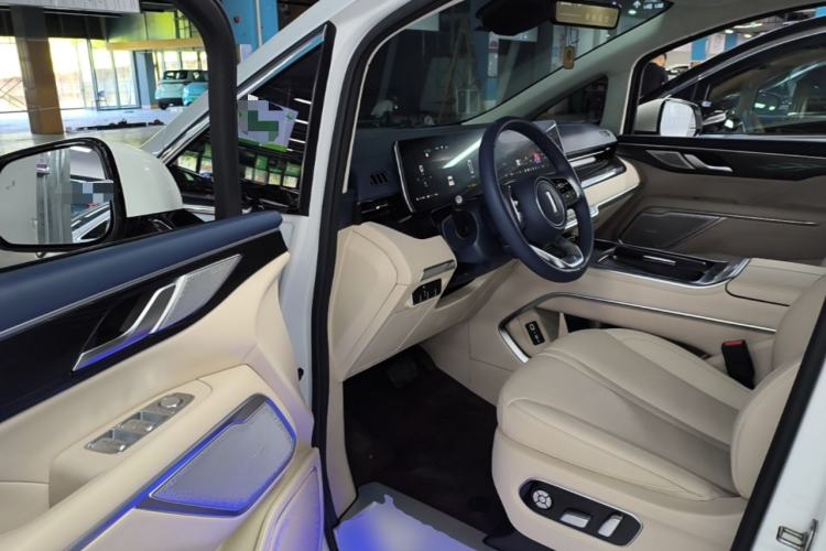 Used Wey Gaoshan 2023 Four-Wheel-Drive Executive Extended Version Driver Seat