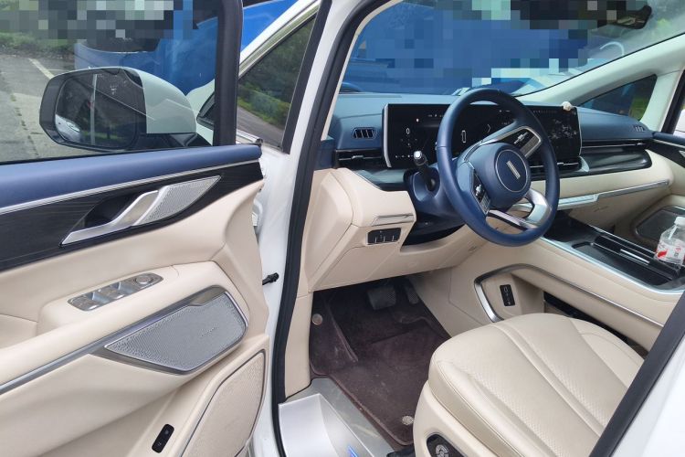 Used Wey Gaoshan 2023 Four-Wheel-Drive Executive Extended Version Driver Seat