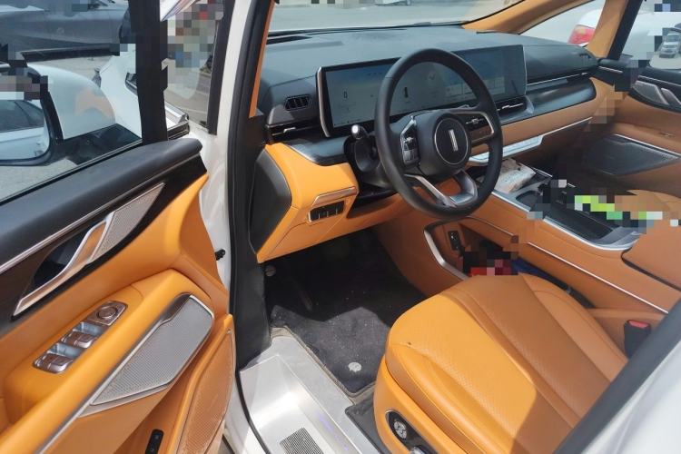 Used Wey Gaoshan 2023 Four-Wheel-Drive Executive Extended Version Driver Seat