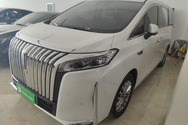 Used Wey Gaoshan 2023 Four-Wheel Drive Flagship Edition
