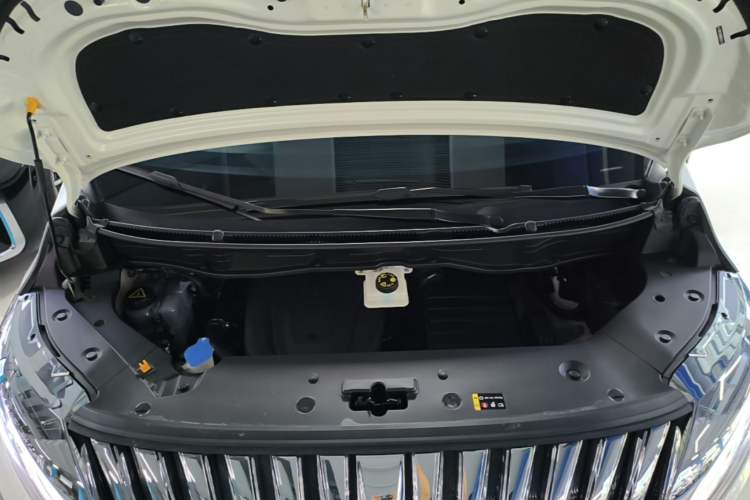 Used Wey Gaoshan 2023 Four-Wheel-Drive Executive Extended Version Engine Bay