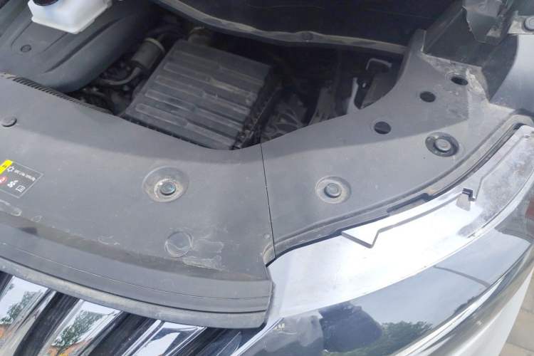 Used Wey Gaoshan 2023 Four-Wheel-Drive Executive Extended Version Engine Bay Left