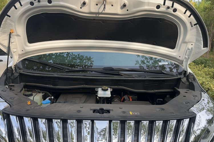 Used Wey Gaoshan 2023 Four-Wheel Drive Flagship Edition Engine Bay