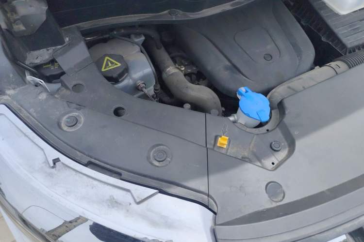 Used Wey Gaoshan 2023 Four-Wheel-Drive Executive Extended Version Engine Bay Right