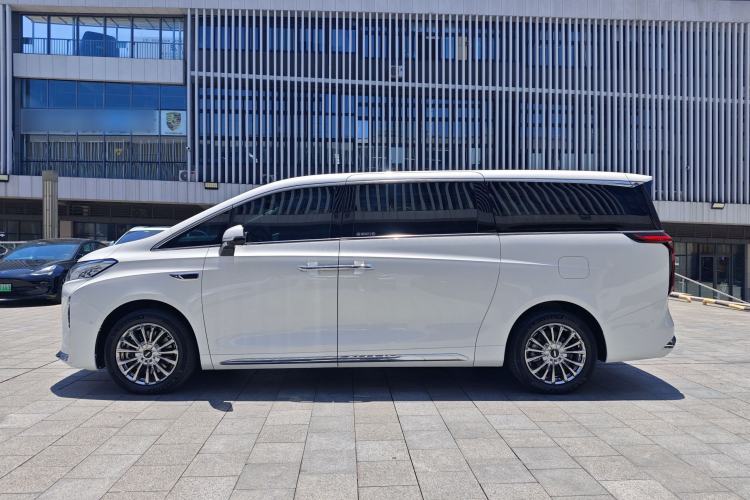 Used Wey Gaoshan 2023 Four-Wheel-Drive Executive Extended Version Exterior 10