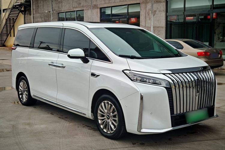 Used Wey Gaoshan 2023 Four-Wheel Drive Flagship Edition Exterior 2