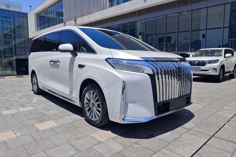 Used Wey Gaoshan 2023 Four-Wheel-Drive Executive Extended Version Exterior 2
