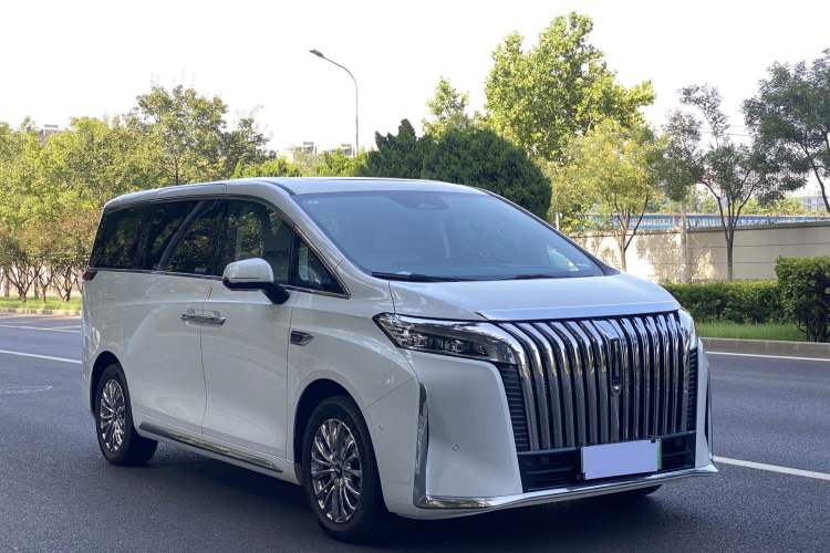 Used Wey Gaoshan 2023 Four-Wheel Drive Flagship Edition Exterior 2