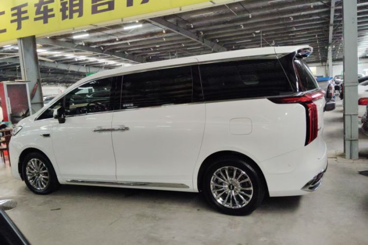 Used Wey Gaoshan 2023 Four-Wheel Drive Flagship Edition Exterior 2