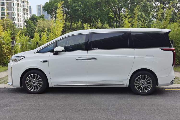 Used Wey Gaoshan 2023 Four-Wheel Drive Flagship Edition Exterior 2