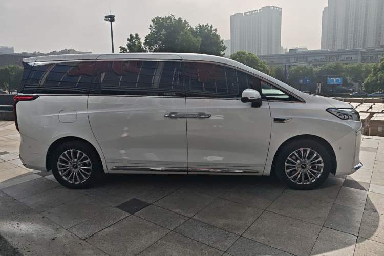 Used Wey Gaoshan 2023 Four-Wheel Drive Flagship Edition Exterior 3
