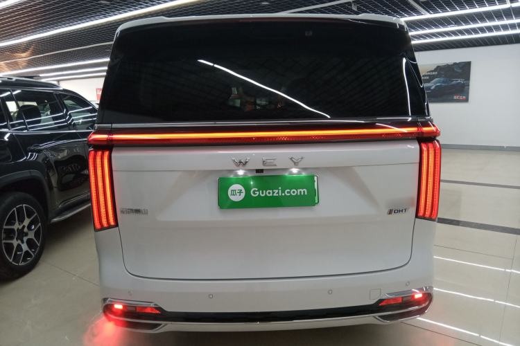 Used Wey Gaoshan 2023 Four-Wheel Drive Flagship Edition Exterior 4