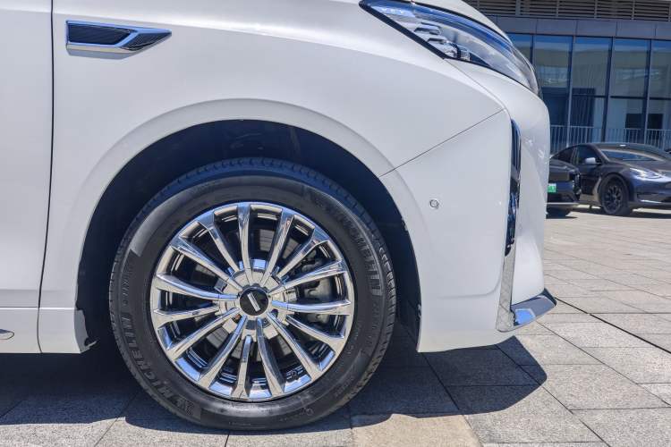 Used Wey Gaoshan 2023 Four-Wheel-Drive Executive Extended Version Exterior 4