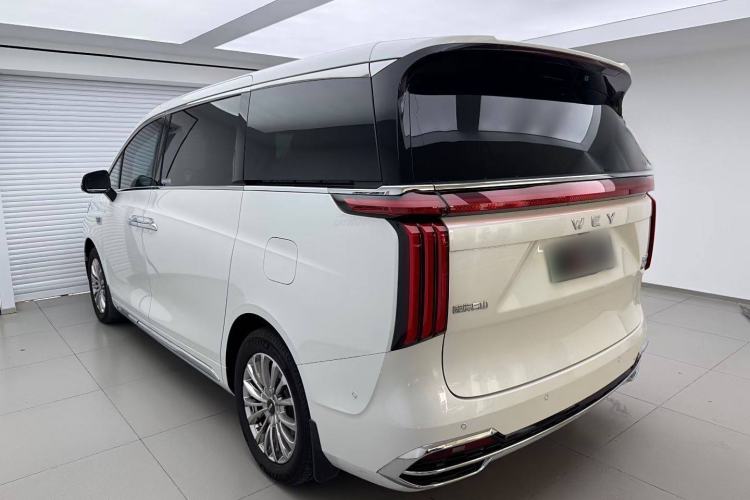 Used Wey Gaoshan 2023 Four-Wheel Drive Flagship Edition Exterior 4