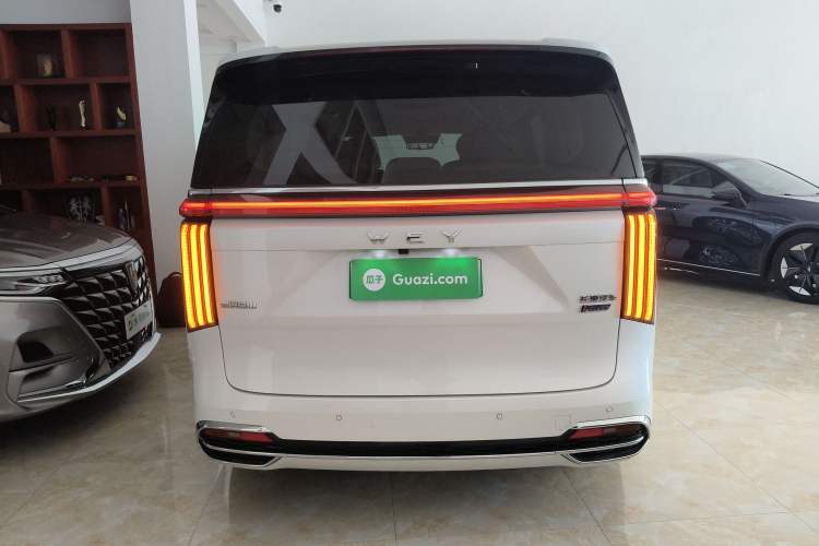Used Wey Gaoshan 2023 Four-Wheel Drive Flagship Edition Exterior 5