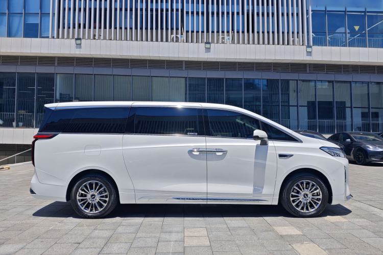 Used Wey Gaoshan 2023 Four-Wheel-Drive Executive Extended Version Exterior 5