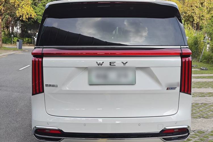 Used Wey Gaoshan 2023 Four-Wheel Drive Flagship Edition Exterior 6