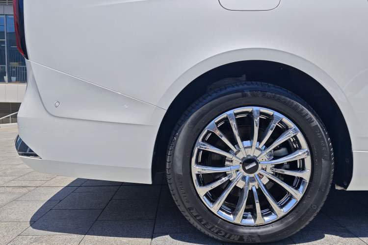 Used Wey Gaoshan 2023 Four-Wheel-Drive Executive Extended Version Exterior 8