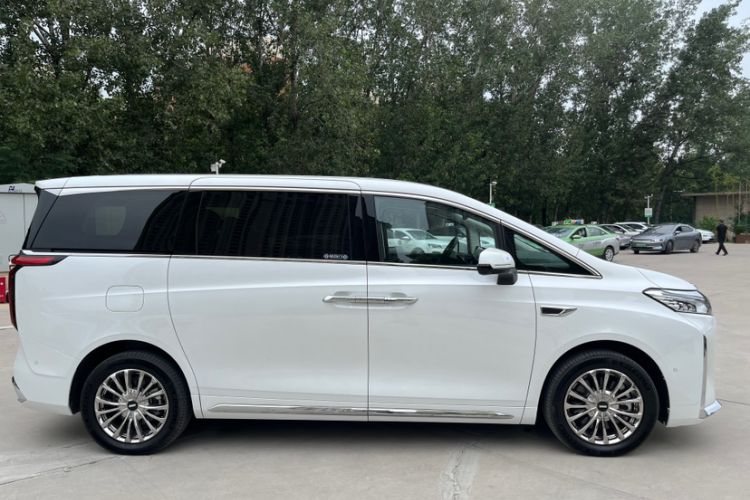 Used Wey Gaoshan 2023 Four-Wheel Drive Flagship Edition Exterior 8
