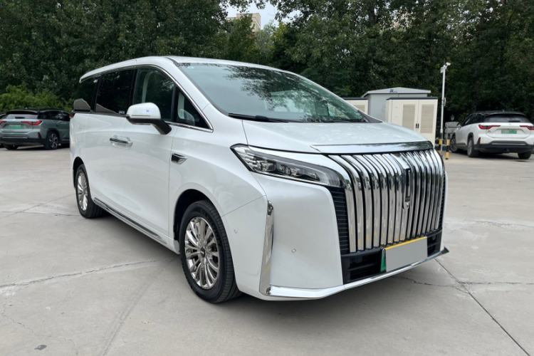 Used Wey Gaoshan 2023 Four-Wheel Drive Flagship Edition Exterior 9