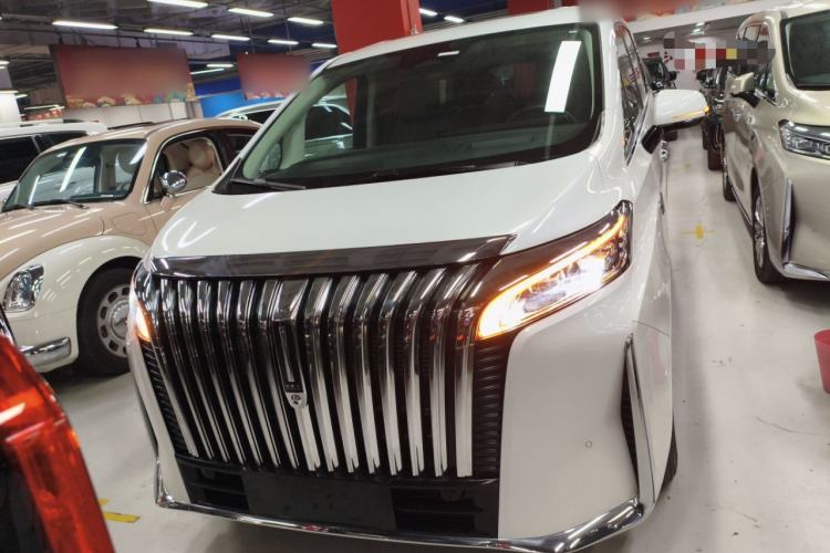 Used Wey Gaoshan 2023 Four-Wheel Drive Flagship Edition Front