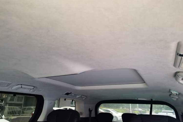 Used Wey Gaoshan 2023 Four-Wheel Drive Flagship Edition Headliner
