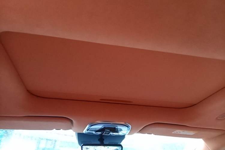 Used Wey Gaoshan 2023 Four-Wheel Drive Flagship Edition Headliner